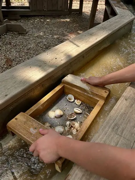 Child holding a tray of seashell finds
