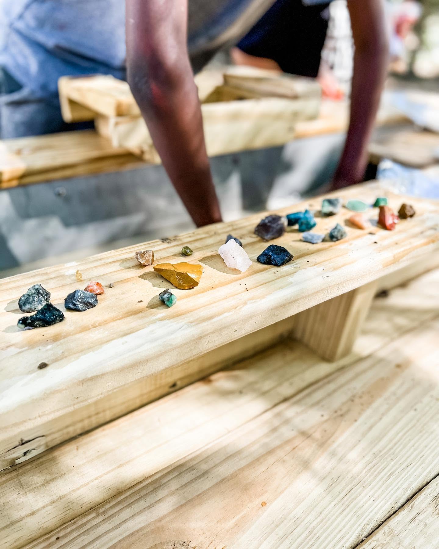 Gems and fossils lined up on wood
