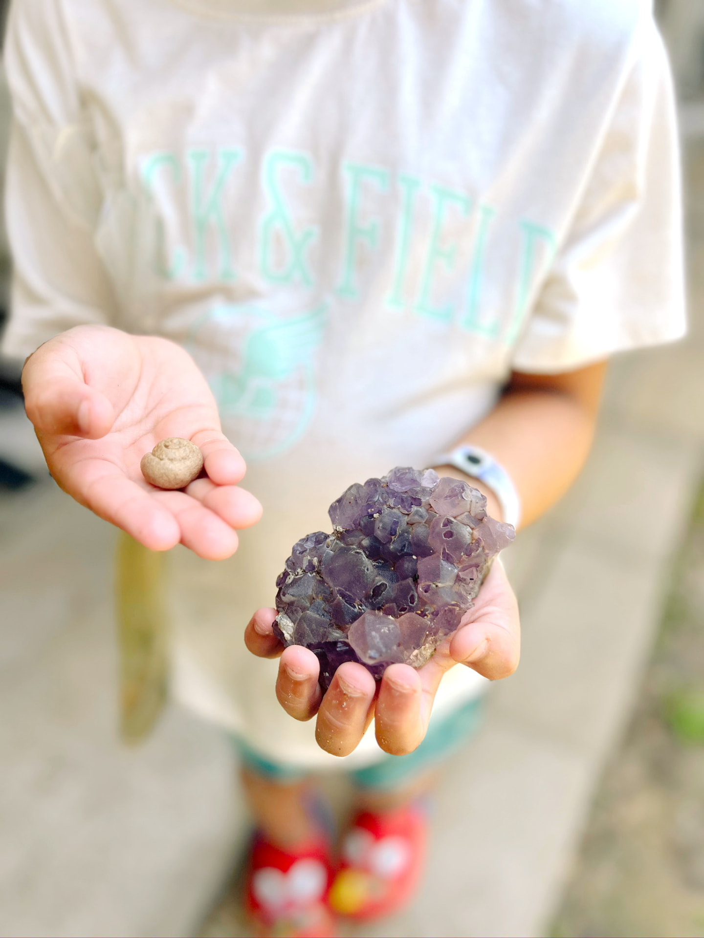 Child holding a purple amethyst cluster and a small fossil find