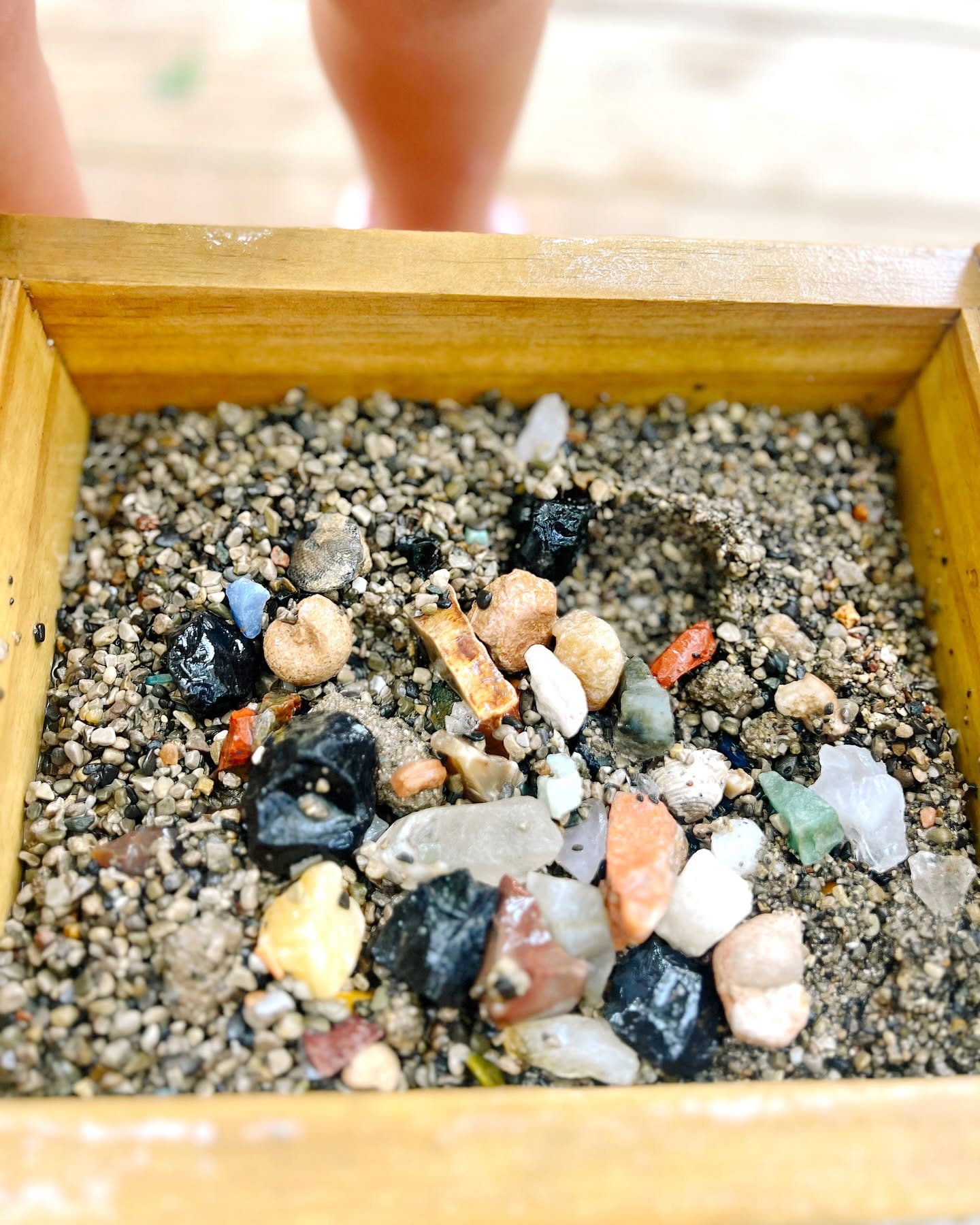 Tray full of gems, fossils, and shells